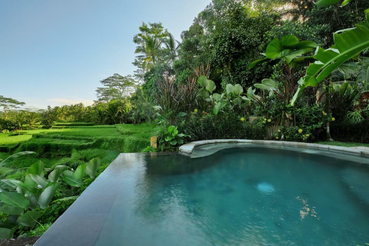 Villa Kembang Bali Ubud Bagian luar foto